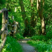 Wanderweg zum Sauerbrunnen
