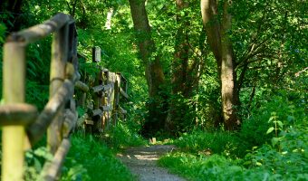 Wanderweg zum Sauerbrunnen